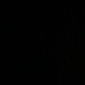 Meet your Posher, Lenin